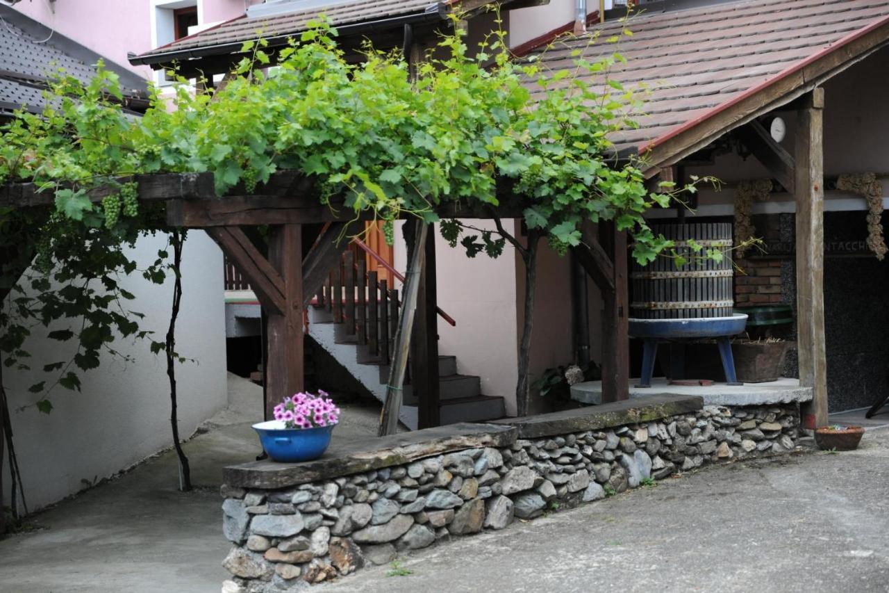 Wellness B&B Winery Sontacchi Kutjevo Exterior photo